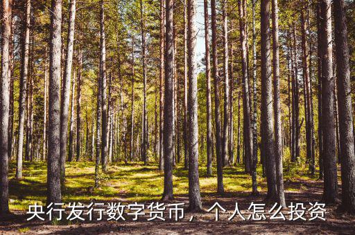 數字貨幣央行怎么發行,為什么央行發行數字貨幣
