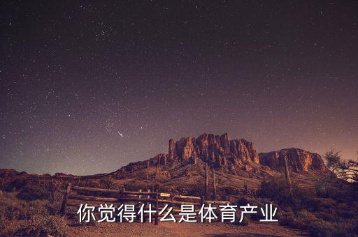 體育產業是什么,你覺得什么是體育產業