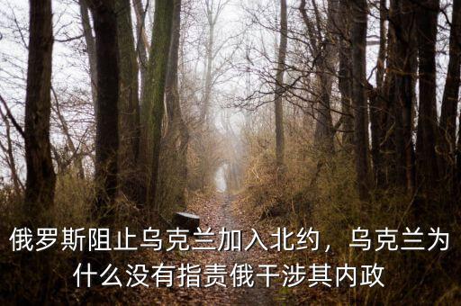 俄羅斯阻止烏克蘭加入北約，烏克蘭為什么沒有指責俄干涉其內政