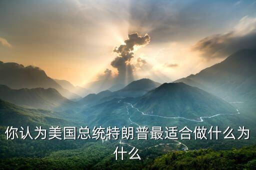 你認為美國總統特朗普最適合做什么為什么