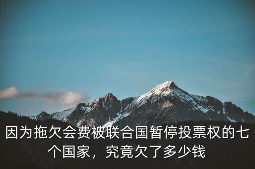 因為拖欠會費被聯合國暫停投票權的七個國家，究竟欠了多少錢