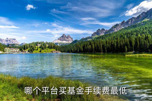 基金怎么買費用少,哪個軟件買賣基金手續費少