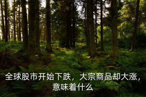 全球股市開始下跌，大宗商品卻大漲，意味著什么