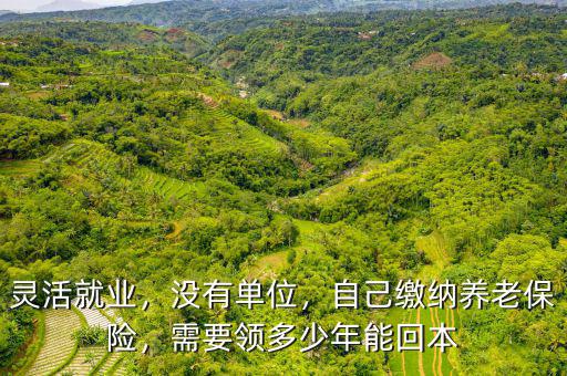 個人交養老保險多少年能回本,退休金領多少年能回本