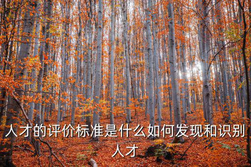 人才的評價標準是什么如何發現和識別人才