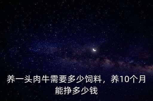 養一頭肉牛需要多少飼料，養10個月能掙多少錢