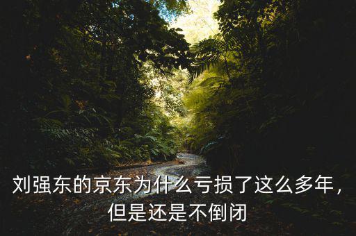 劉強東的京東為什么虧損了這么多年，但是還是不倒閉