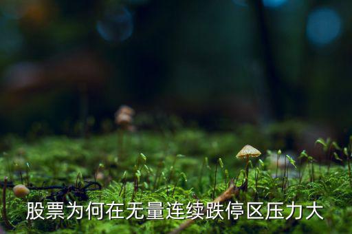 股票為何在無量連續跌停區壓力大
