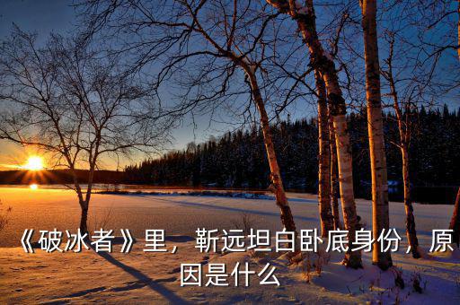 《破冰者》里，靳遠坦白臥底身份，原因是什么