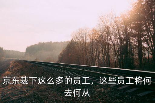 京東裁下這么多的員工，這些員工將何去何從