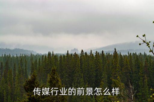 傳媒行業的前景怎么樣