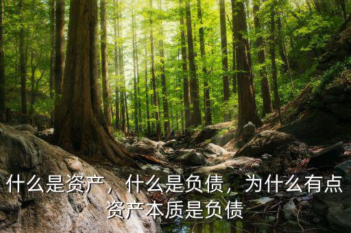 什么是資產，什么是負債，為什么有點資產本質是負債