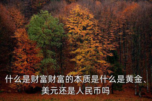 什么是財富財富的本質是什么是黃金、美元還是人民幣嗎