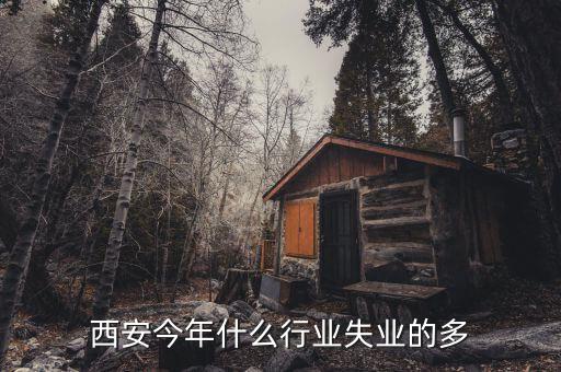 西安今年什么行業失業的多