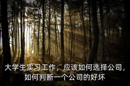 大學生實習工作，應該如何選擇公司，如何判斷一個公司的好壞