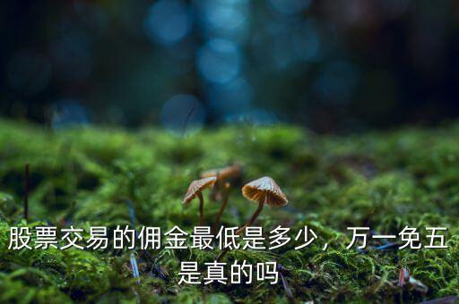 股票交易的傭金最低是多少，萬一免五是真的嗎