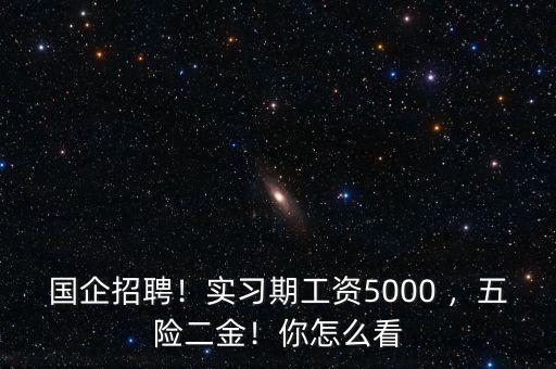 國企招聘！實習期工資5000 ，五險二金！你怎么看