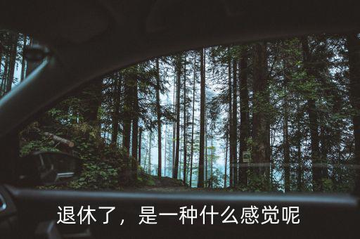 什么是退休,什么叫退休基本養老金
