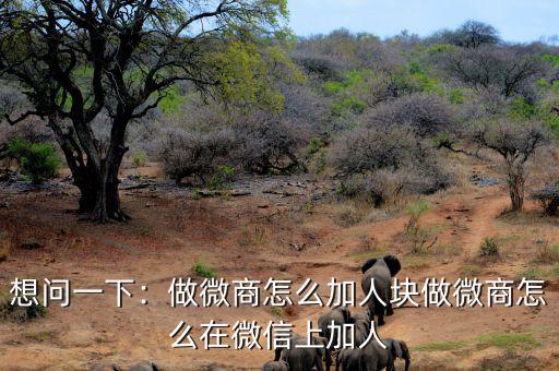 怎么在錢寶網做微商,做微商怎么在微信上加人