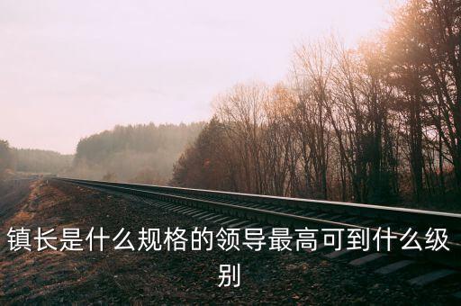 鎮長是什么規格的領導最高可到什么級別