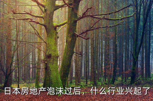 日本房地產泡沫過后，什么行業興起了