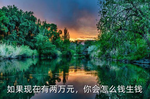 如果現在有兩萬元，你會怎么錢生錢