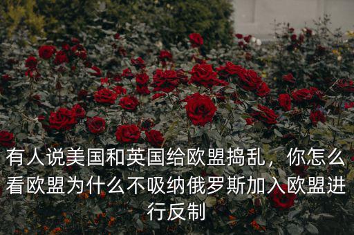 有人說美國和英國給歐盟搗亂，你怎么看歐盟為什么不吸納俄羅斯加入歐盟進行反制