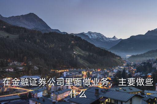 在金融證券公司里面做業務，主要做些什么