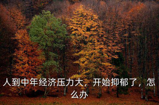 人到中年經(jīng)濟(jì)壓力大，開(kāi)始抑郁了，怎么辦