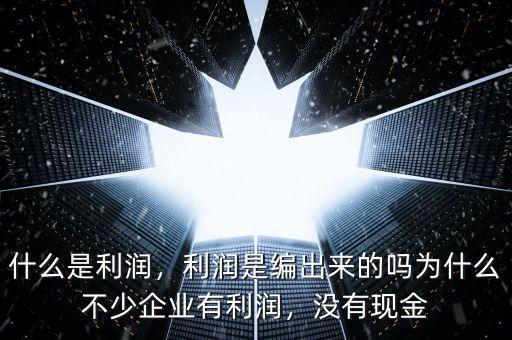 什么是利潤，利潤是編出來的嗎為什么不少企業有利潤，沒有現金