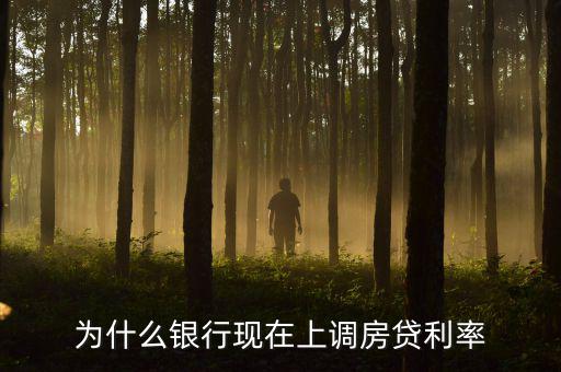 為什么銀行現在上調房貸利率