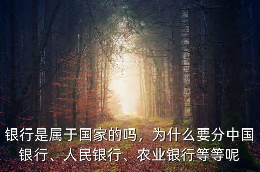 民資為什么銀行,比如說微眾銀行網上銀行