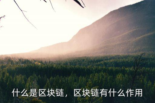 區塊鏈技術是什么意思,什么是區塊鏈技術