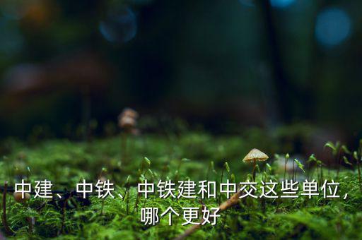 中建、中鐵、中鐵建和中交這些單位，哪個(gè)更好