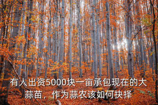 有人出資5000塊一畝承包現在的大蒜苗，作為蒜農該如何抉擇