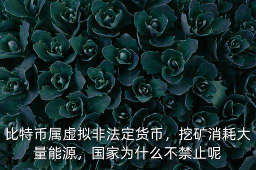 比特幣屬虛擬非法定貨幣，挖礦消耗大量能源，國家為什么不禁止呢
