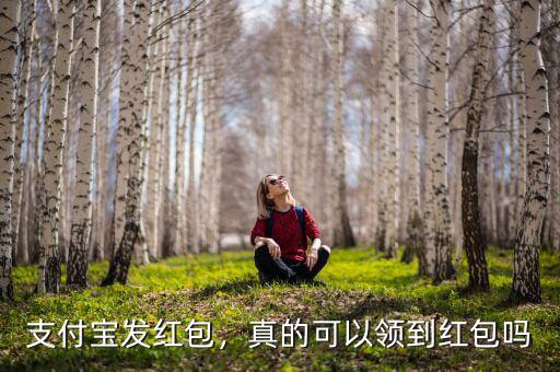 支付寶討紅包給多少,支付寶發紅包