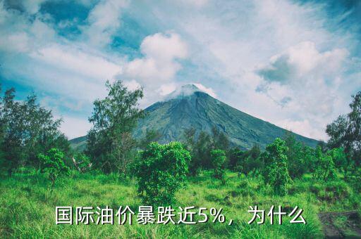國際油價暴跌近5%，為什么