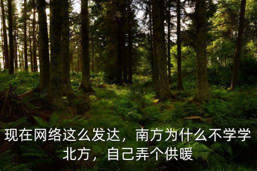 現在網絡這么發達，南方為什么不學學北方，自己弄個供暖