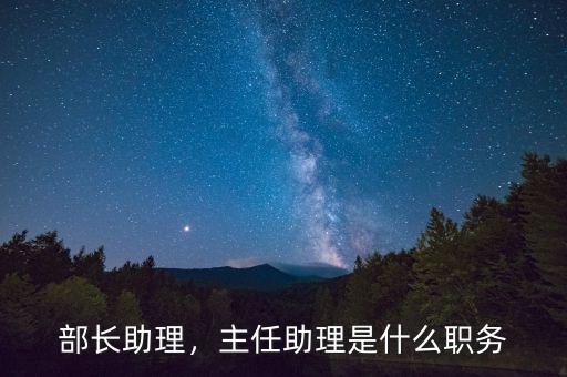 部長助理，主任助理是什么職務