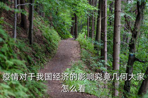 疫情對于我國經濟的影響究竟幾何大家怎么看