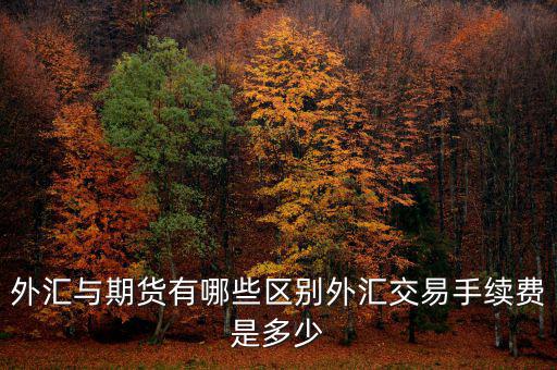 外匯交易手續費怎么算,外匯與期貨有哪些區別