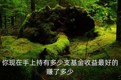 基金持有多少最好,持有基金多少數量比較合適