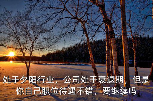 處于夕陽行業，公司處于衰退期，但是你自己職位待遇不錯，要繼續嗎