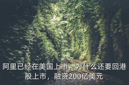 阿里已經(jīng)在美國(guó)上市，為什么還要回港股上市，融資200億美元