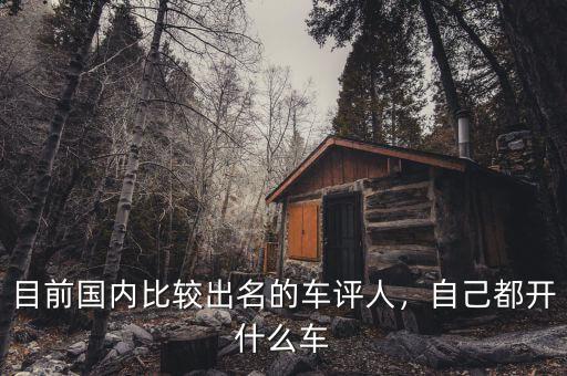 劉國本開的什么車,目前國內比較出名的車評人
