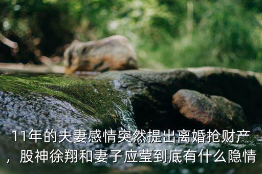 11年的夫妻感情突然提出離婚搶財產，股神徐翔和妻子應瑩到底有什么隱情