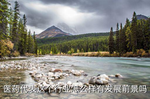 湖北新方向醫藥工資怎么樣,醫藥代表這個行業怎么樣
