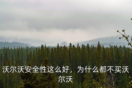 沃爾沃安全性這么好，為什么都不買沃爾沃