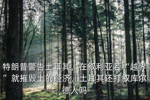特朗普警告土耳其，在敘利亞若“越界”就摧毀土的經濟，土耳其還打敘庫爾德人嗎